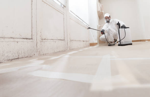 24/7 Emergency Mold Inspection experts in Fredericksburg, TX